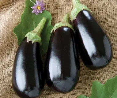 بادمجان لامپی درشت و تازه